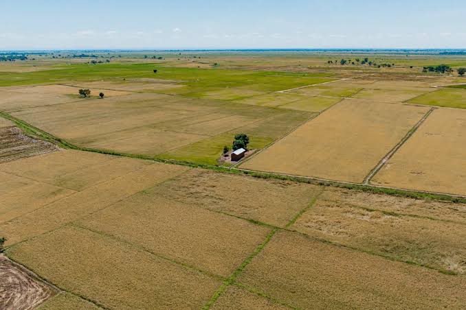 Aerial drone view of immense subdivided agricultural plots and farmland tracts, highlighting fertile rural acreage for large-scale crop cultivation, land banking, and property acquisition.
