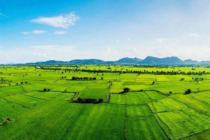 Vast open green land plot for sale under a dramatic blue sky with white clouds, showcasing prime rural acreage for strategic real estate land banking and agricultural property acquisition.