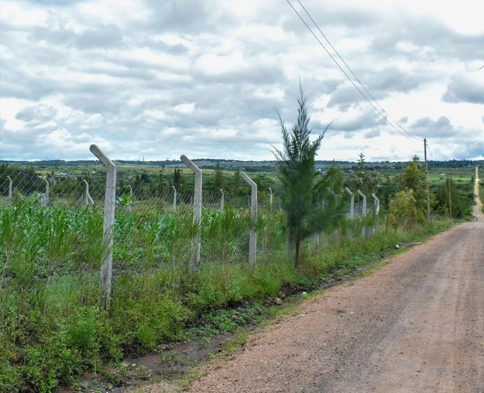 Fenced land plot for sale with secure concrete posts alongside an unpaved access road, highlighting ready-to-develop residential plots and strategic real estate land banking in Kenya.