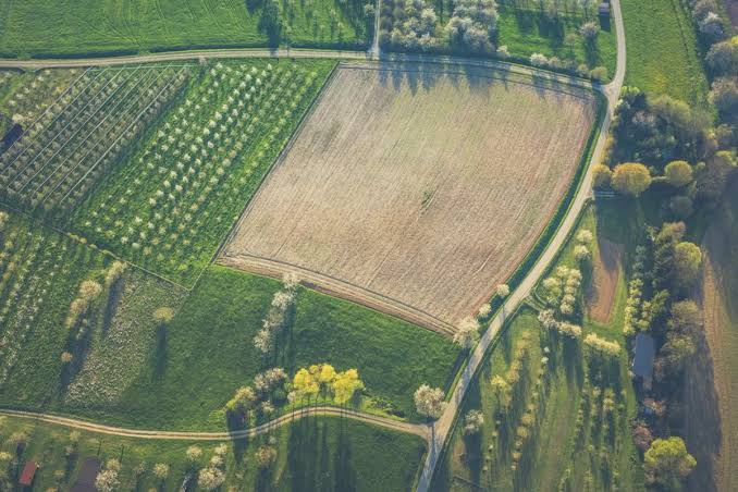 Overlook view of subdivided agricultural land plots and green farming parcels, highlighting prime acreage for rural land investment, agricultural real estate, and property acquisition.