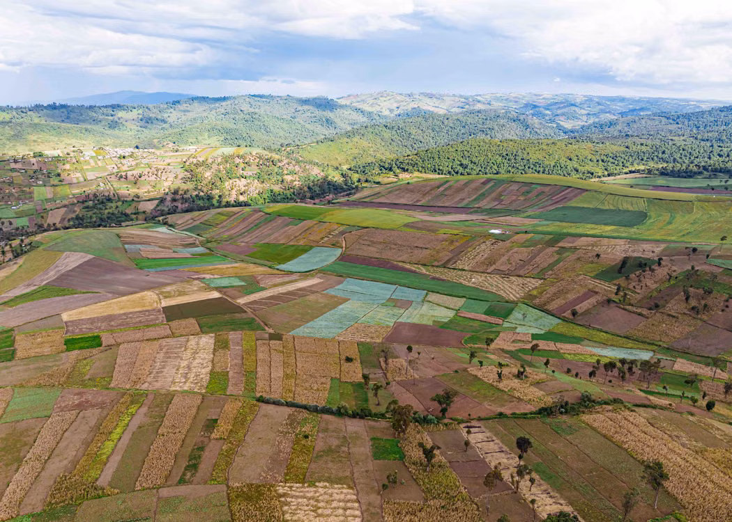 How Do You Buy Land in Kenya Safely? A Step-by-Step Due Diligence Blueprint