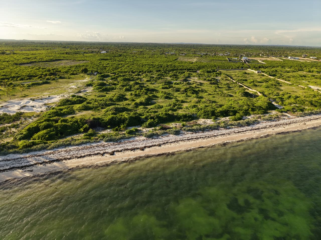 Aerial view of undeveloped beachfront land for sale, showcasing prime coastal property plots with lush green vegetation alongside a sandy beach and clear ocean waters for resort development.