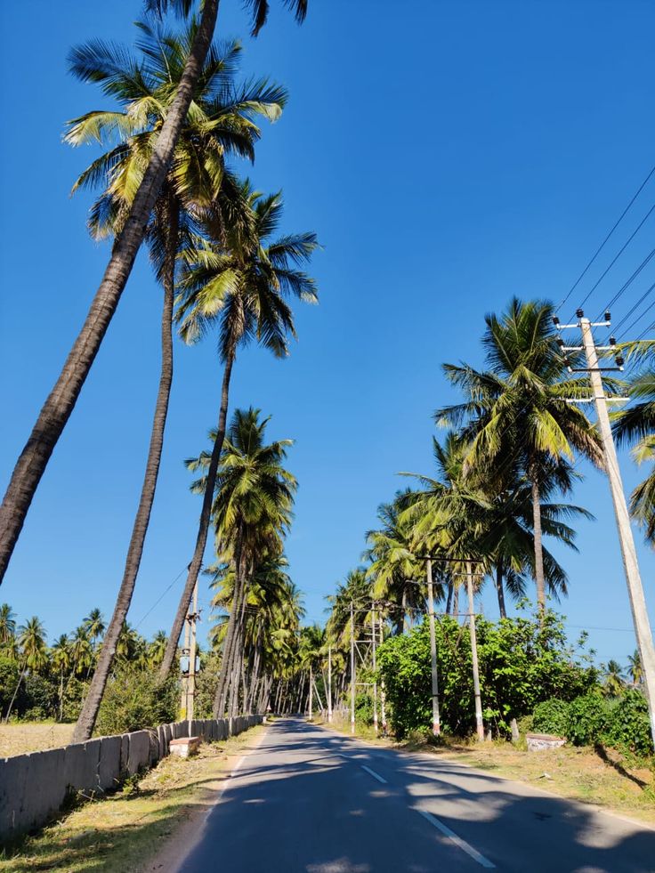 Investing in Malindi: Where Tourism Fuels Property Growth