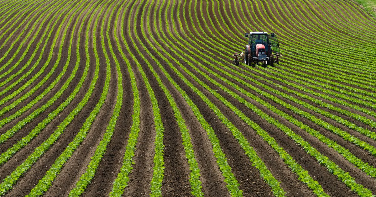 High-angle view of a tractor cultivating perfectly linear green crop rows on an expansive agricultural plot, highlighting fertile land acquisition and rural real estate investment value.